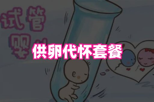 生殖助孕网站 1