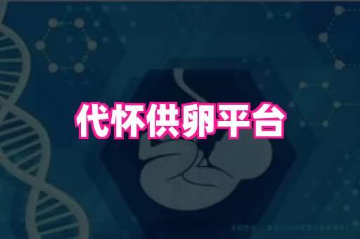 生殖助孕网站 4